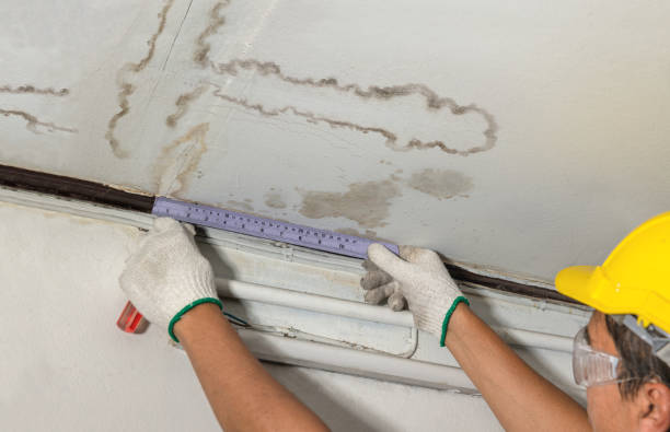 Reliable Sewage Cleanup contractor in Coulterville, IL by Water Damage Irwin